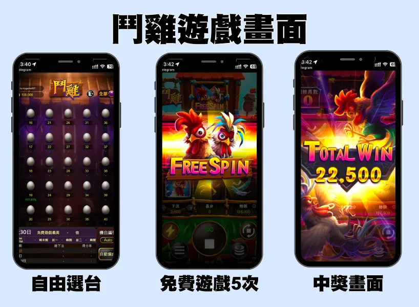 富遊娛樂城 RG電子《鬥雞》老虎機遊戲:體驗農場雞舍一直中獎的快感!